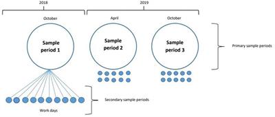 Spatial distribution and population dynamics of free-roaming (stray and semi-domiciled) dogs in a major Brazilian city